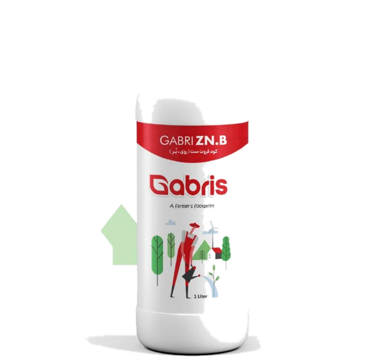 گابری Zn.B